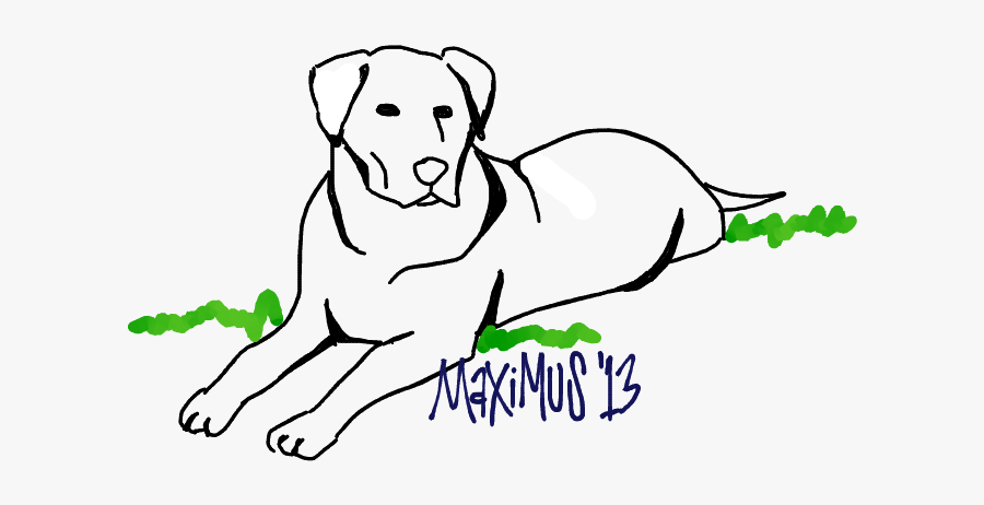 Sketch, Transparent Clipart