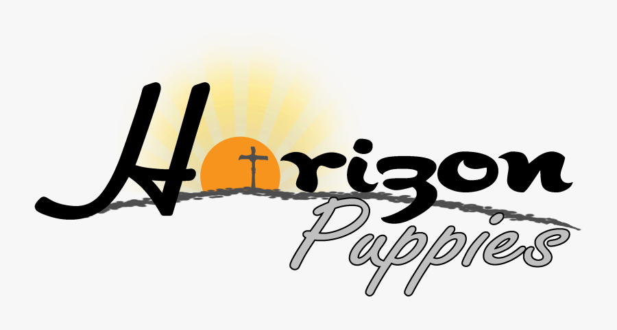 Horizon Lab Puppies - Graphic Design, Transparent Clipart