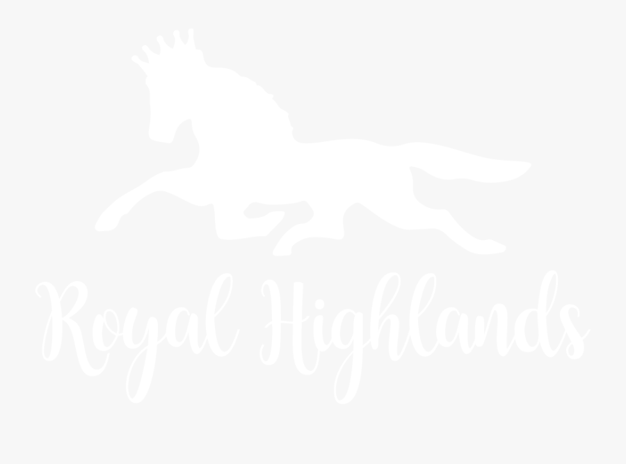 Img, Transparent Clipart