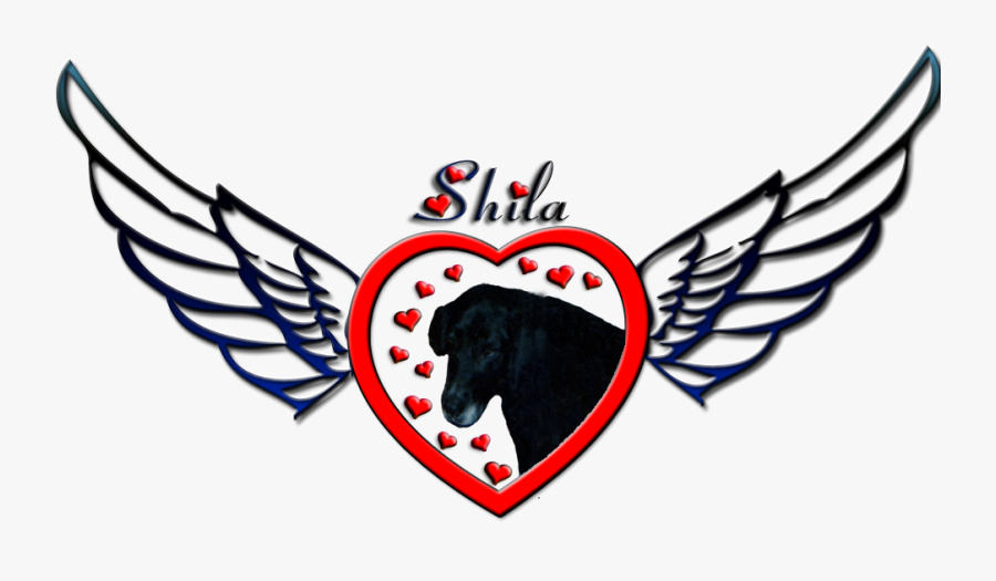 Shila Logo, Transparent Clipart