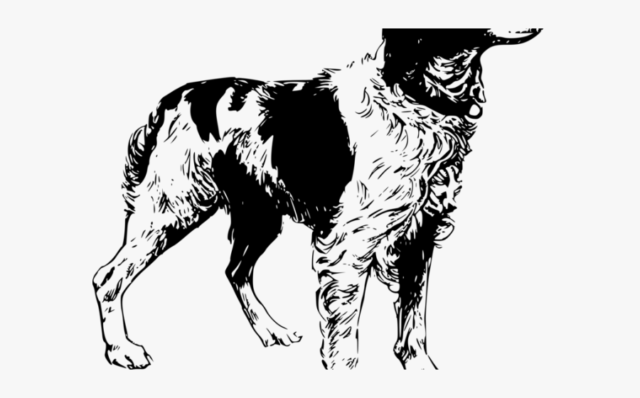 Brittany Spaniel Head Clipart, Transparent Clipart