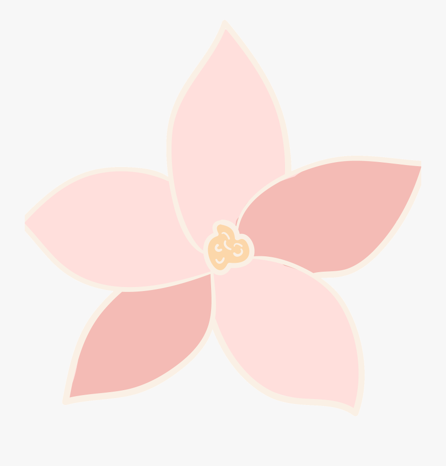 This Illustrated Floral Note Card Set Of 6 Is Perfect - Illustration, Transparent Clipart