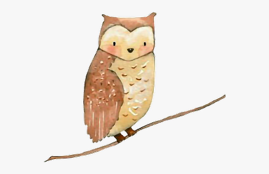 #owl #autumn #hellofall#ilovefall #fall #sticker - Woodland Owl Watercolor, Transparent Clipart