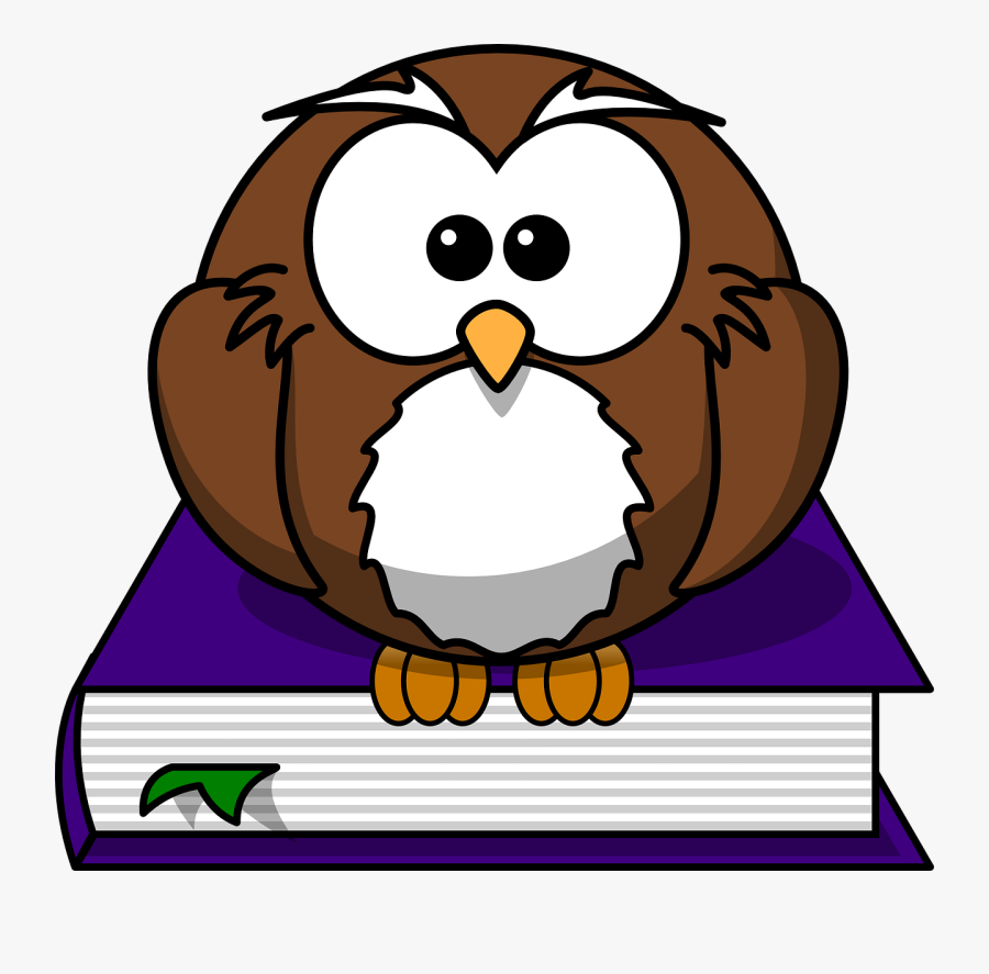 Cartoon Owl, Transparent Clipart