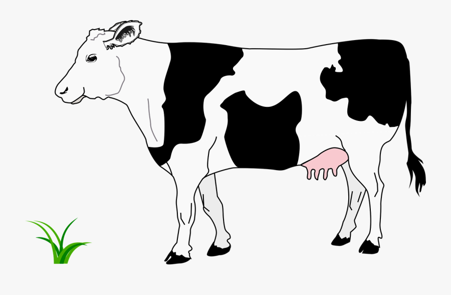 Clipart Cow Grass - Cow Side View, Transparent Clipart