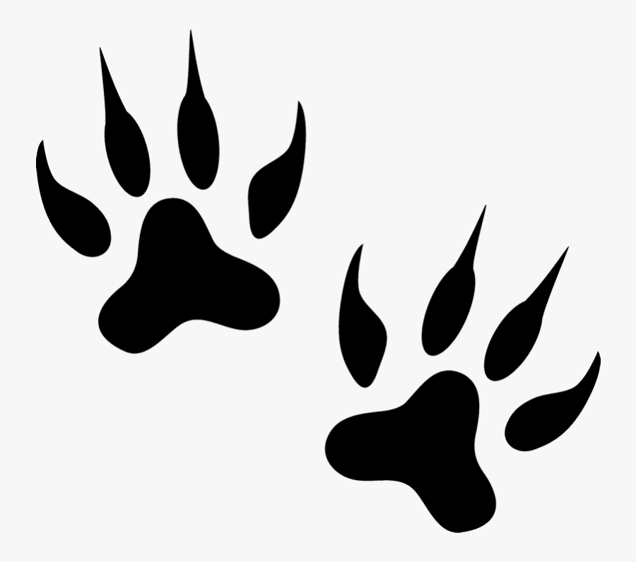 Tiger Leopard Lion Silhouette Cat - Lion Tracks Black And White, Transparent Clipart