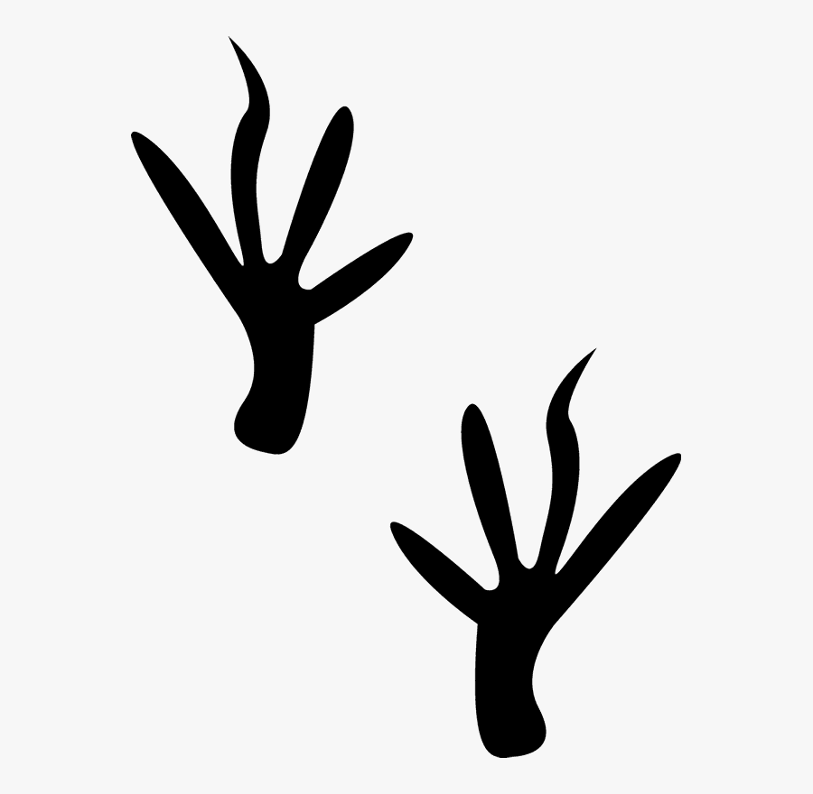 Mouse Tracks, Transparent Clipart