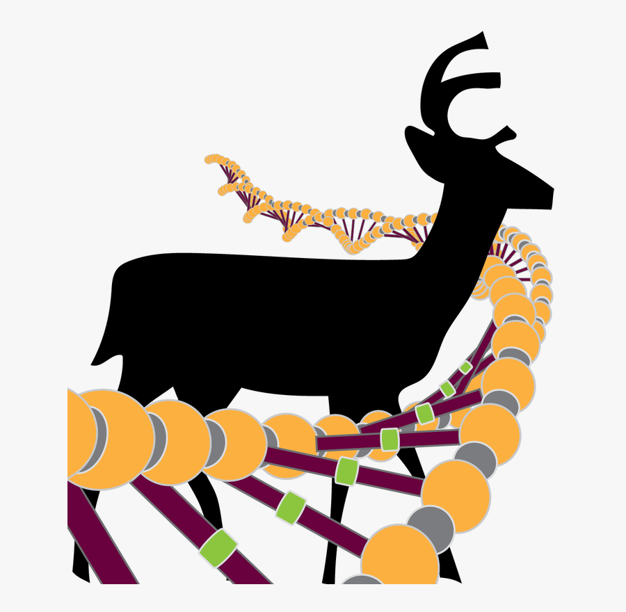 Picture - Illustration, Transparent Clipart