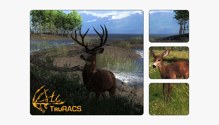 Thehunter Wikia - Dragons Den Series 1, Transparent Clipart