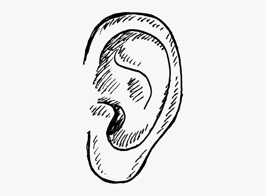 Illustration, Transparent Clipart
