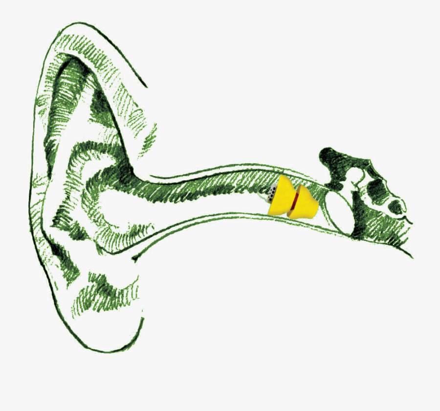 Illustration, Transparent Clipart