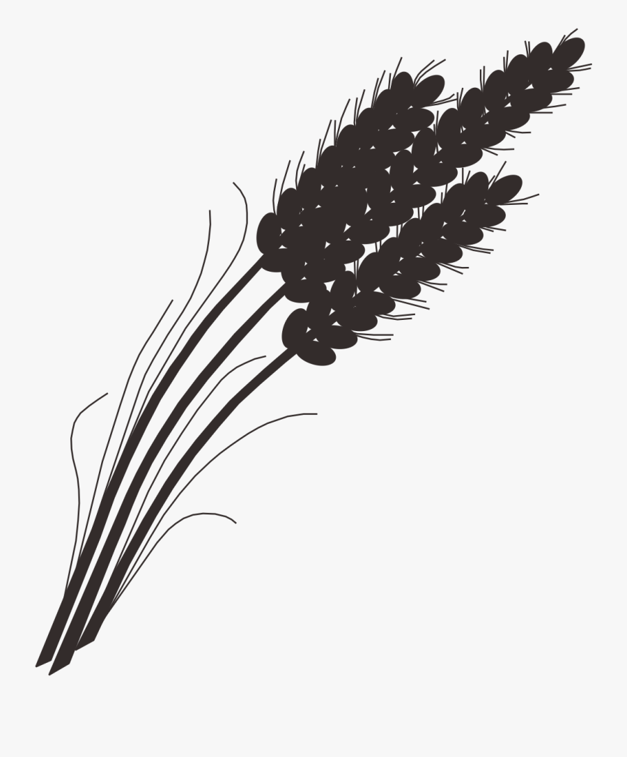 Illustration, Transparent Clipart