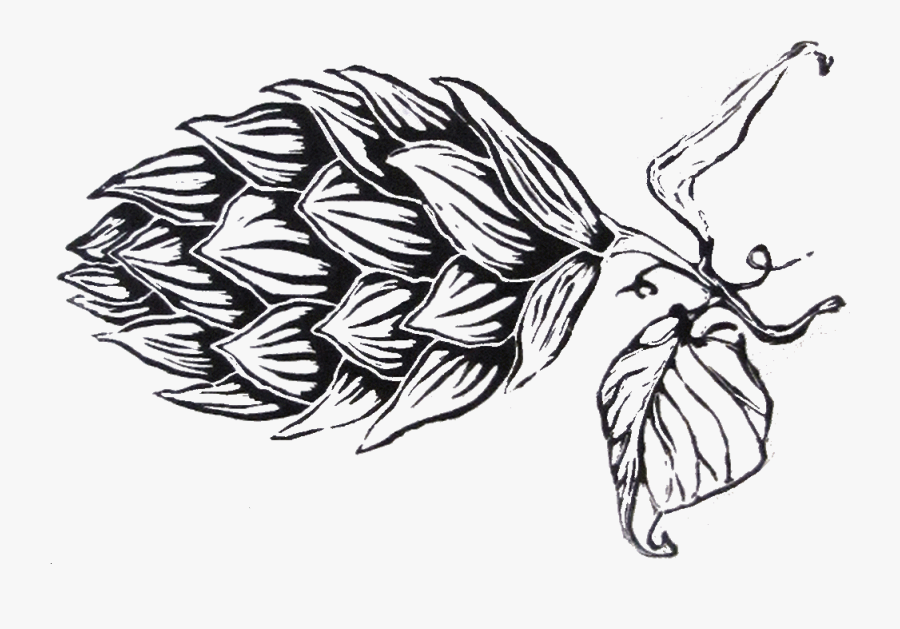 Faq - Hapa's Brewing Company Png, Transparent Clipart