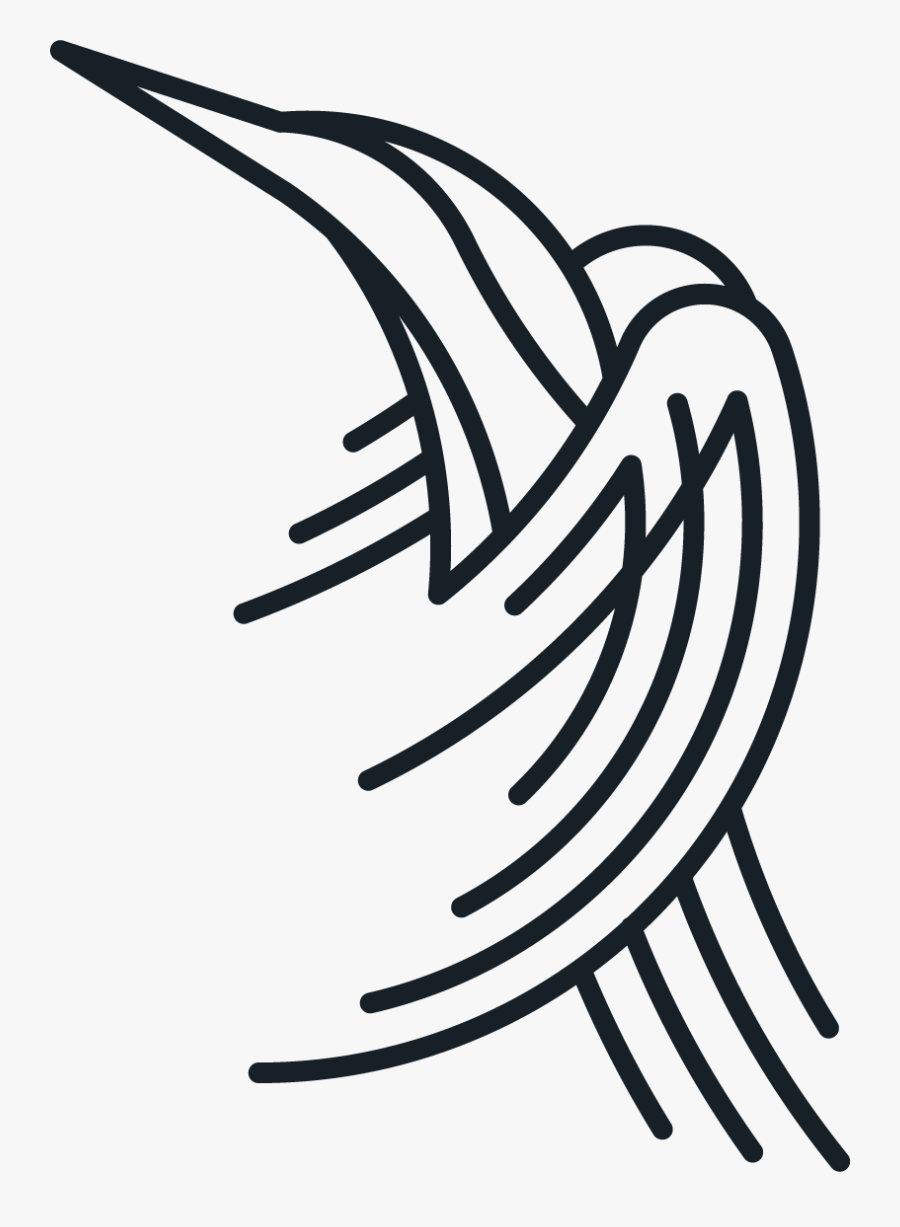 Relaxed, Intimate And Joyful Wedding And Portrait Photography, - Line Art, Transparent Clipart