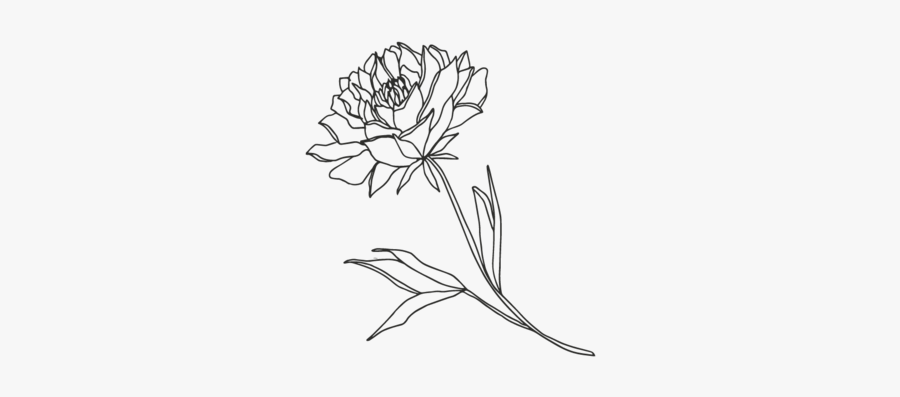Flower3-01 - Buttercup, Transparent Clipart
