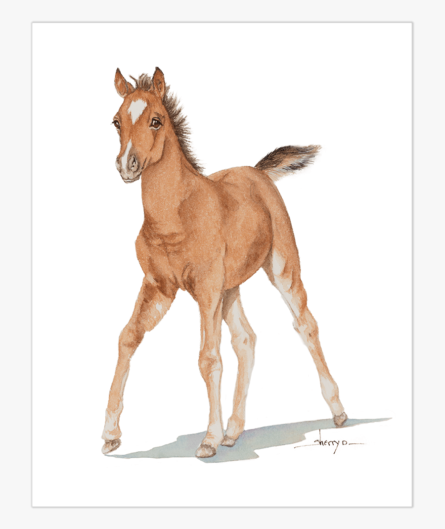 Clip Art Baby Horse - Horse Baby Png, Transparent Clipart