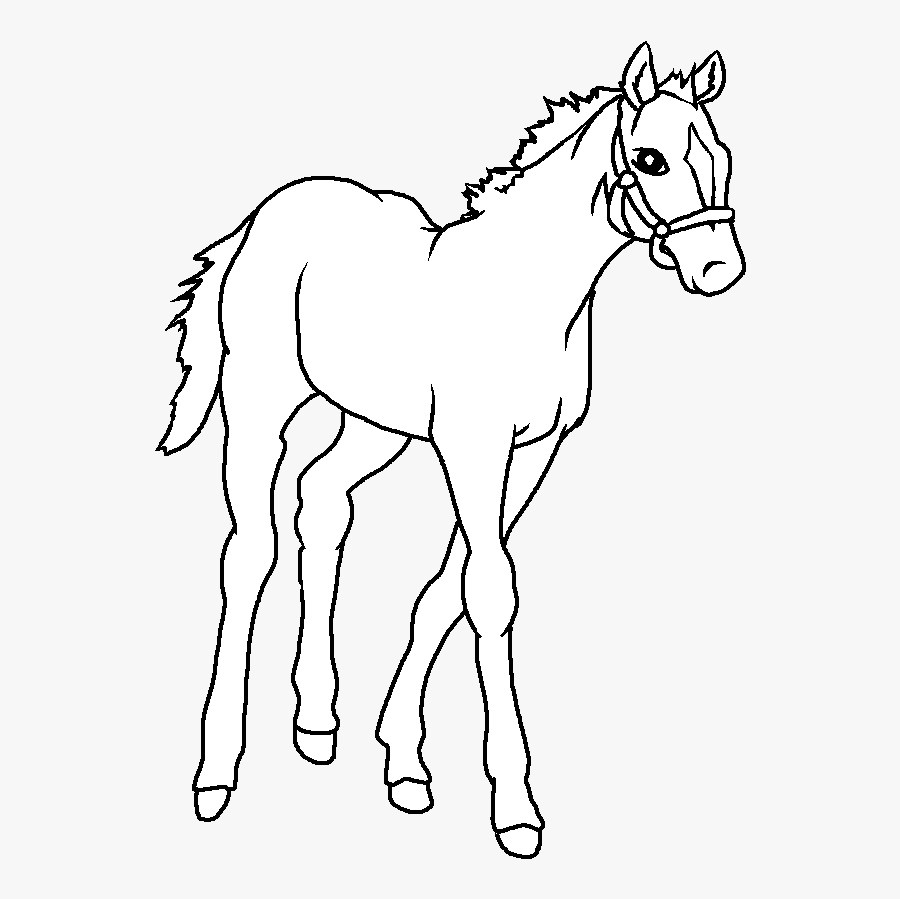 Pictures Of Horse Drawings - Easy Baby Horse Drawing, Transparent Clipart
