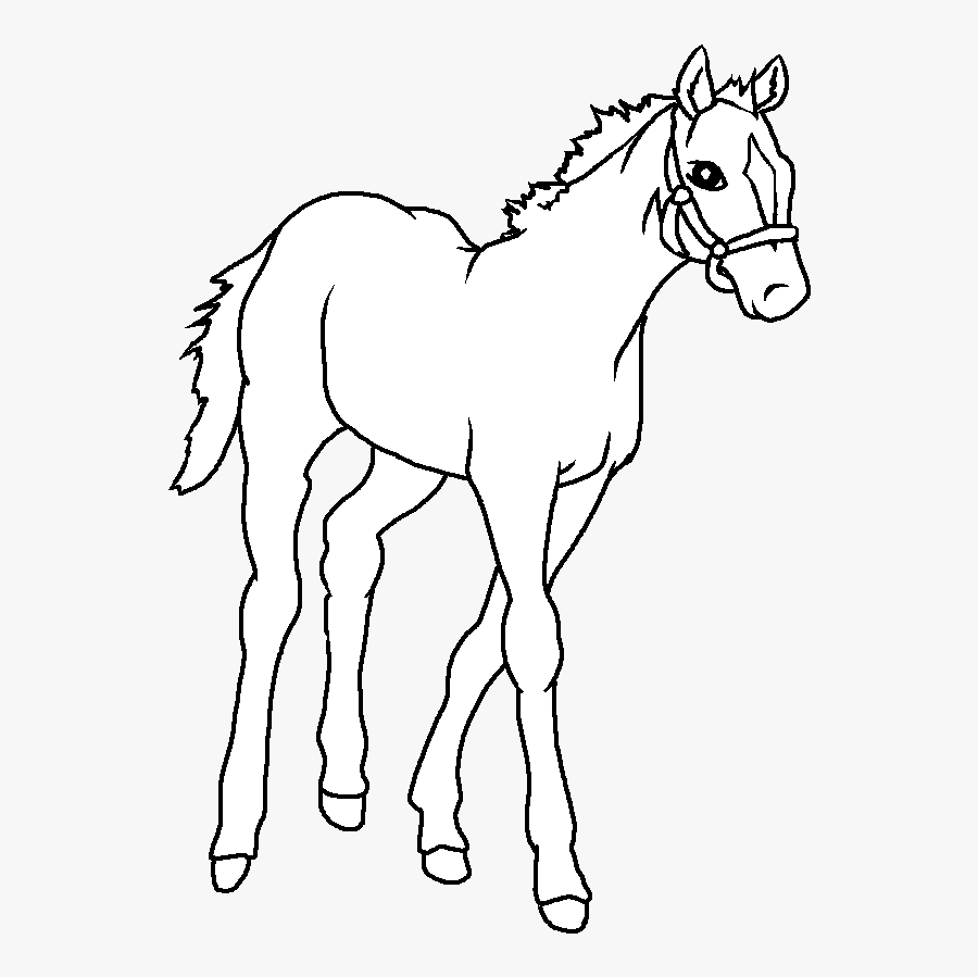 Featured image of post Horse Clipart Easy Horse easy cliparts and transparent