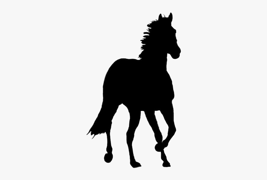 Baby Horses Png Transparent Images - Running Horse, Transparent Clipart