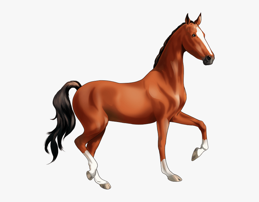 Sorrel, Transparent Clipart