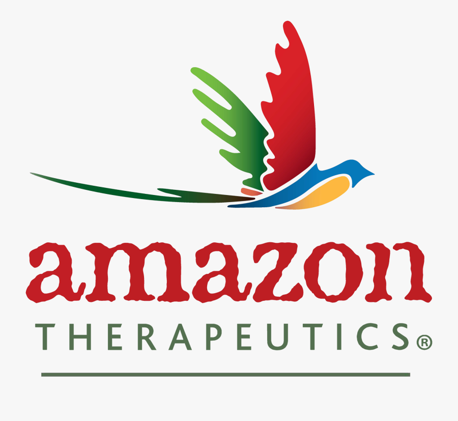 Graphic Design, Transparent Clipart