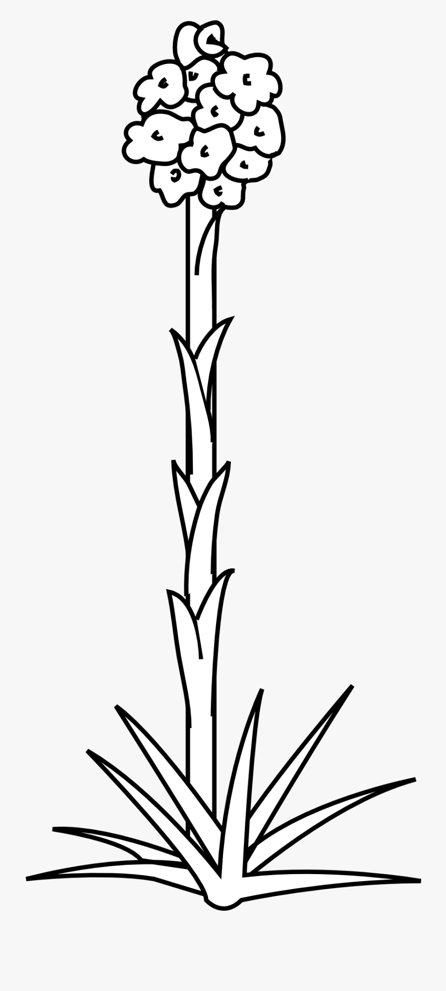 Stem Clipart Black And White, Transparent Clipart