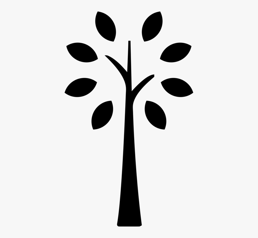Plant,flower,leaf, Transparent Clipart