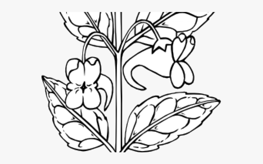 Stem Clipart Vector - Outline Of A Plant Stem, Transparent Clipart