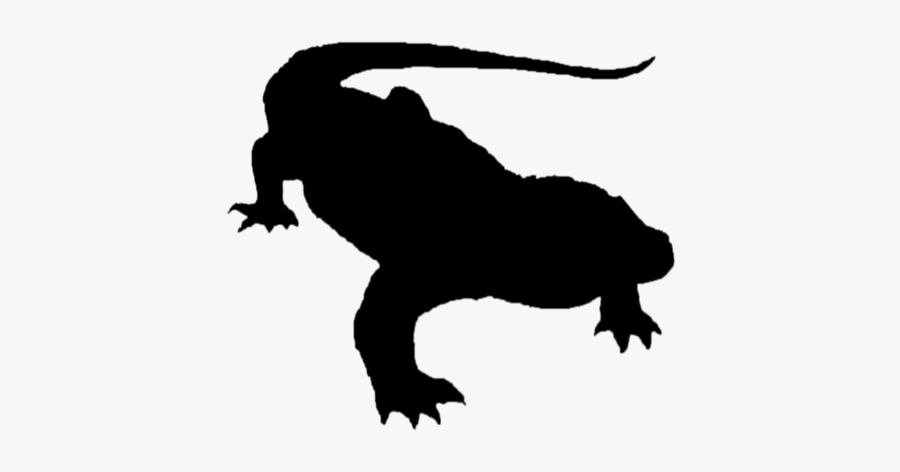 Komodo Dragon At Getdrawings - Frog, Transparent Clipart
