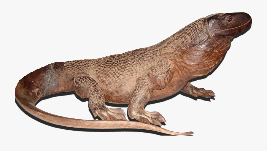 Komodo Dragon Png - Komodo Png, Transparent Clipart