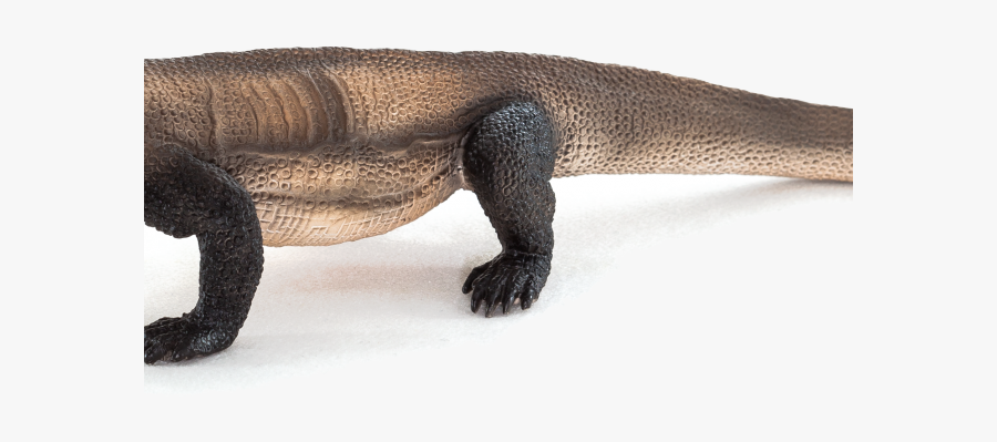 Komodo Dragon Png Transparent Images - Animal Planet Komodo Dragon Toy, Transparent Clipart