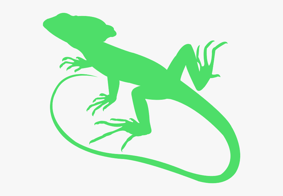 Dragon Lizard, Transparent Clipart