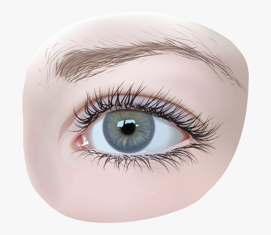 Girls Eye Png - Eyes Vector Realistic Png , Free Transparent Clipart - Clip...