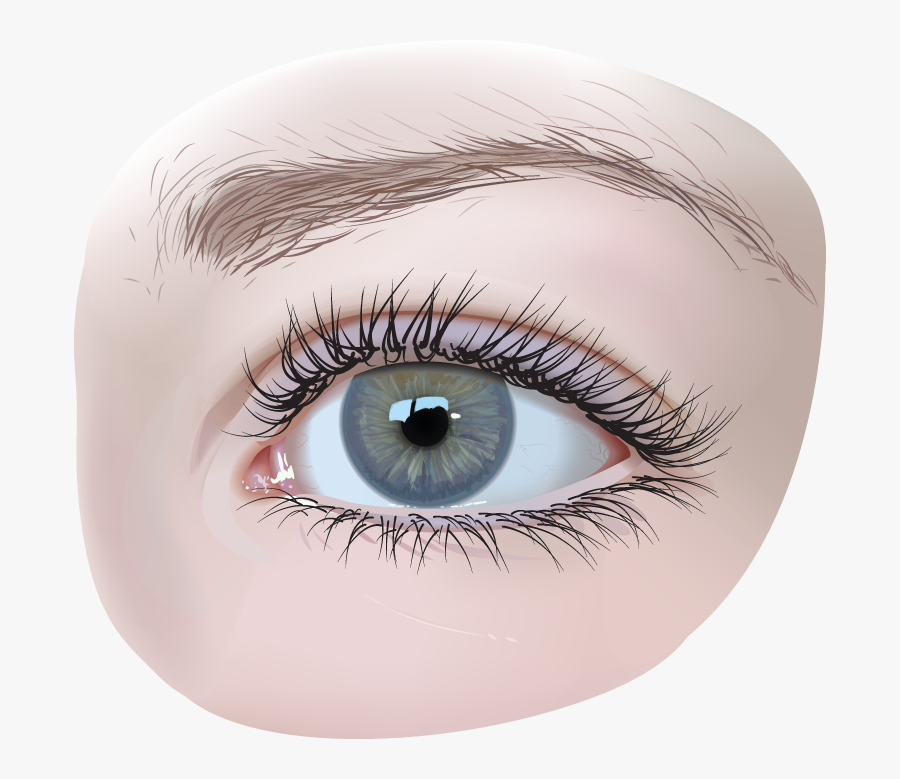 Girls Eye Png - Eyes Vector Realistic Png, Transparent Clipart