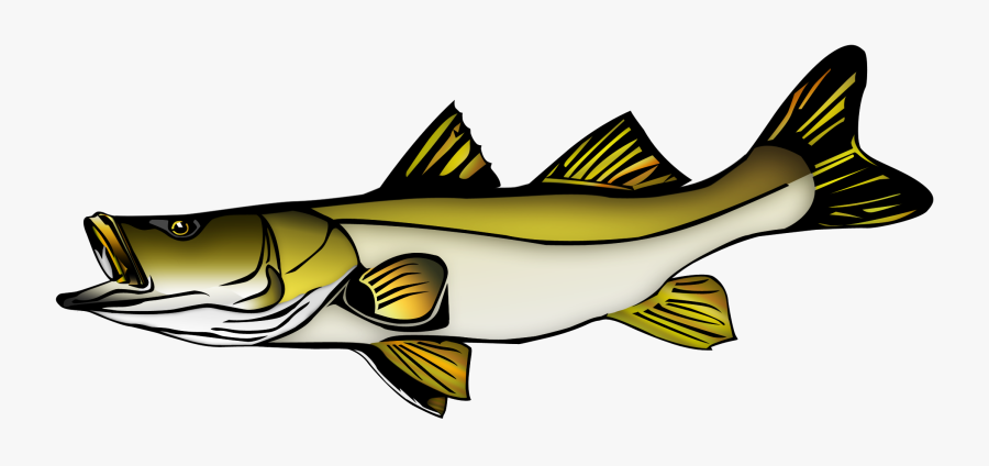 Art Clip Site - Snook Clip Art, Transparent Clipart