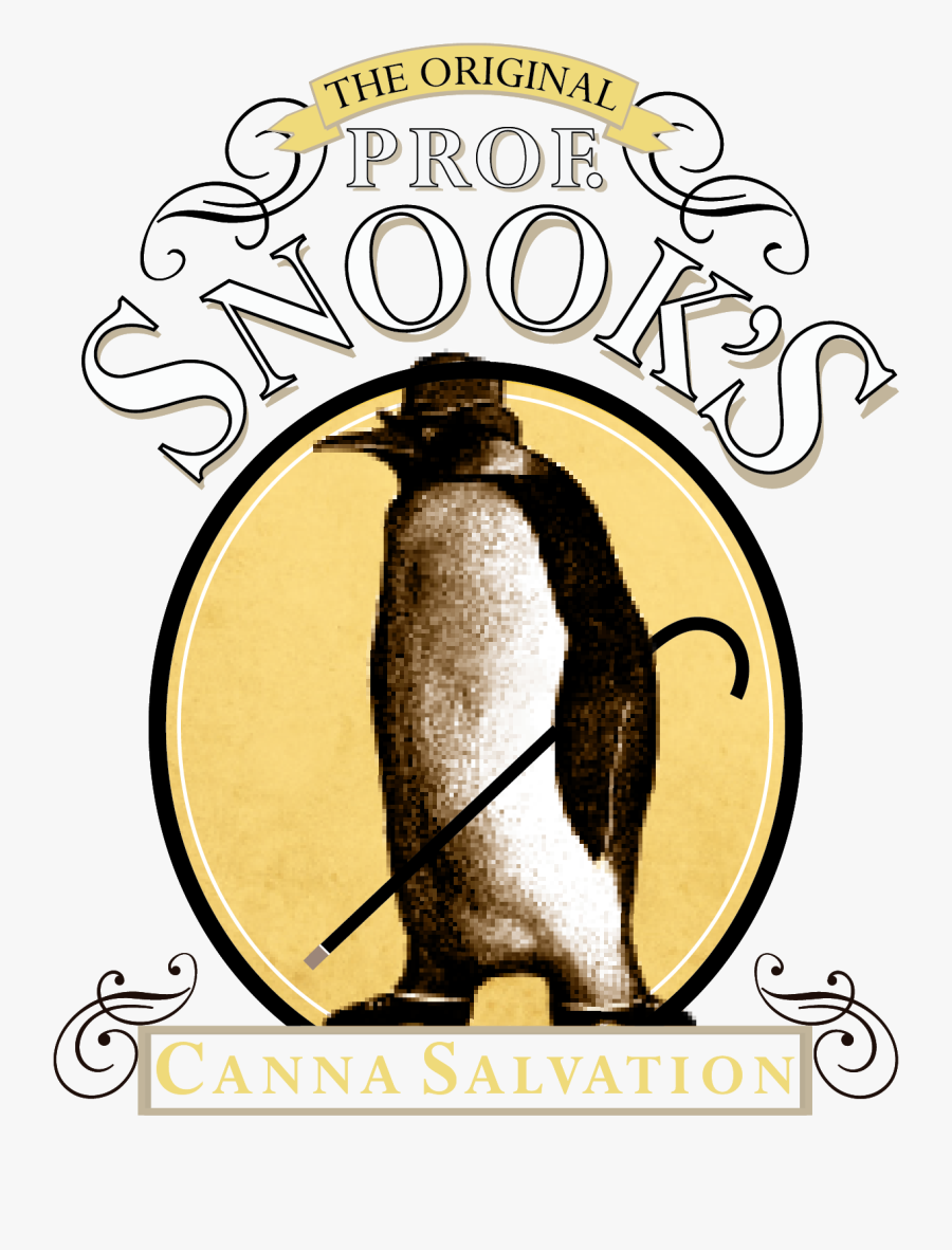 Prof Snooks - Penguin - Breeze, Transparent Clipart