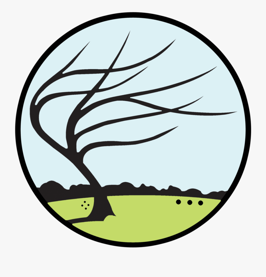 Royal Drawing Scroll - Justin Vining Art, Transparent Clipart