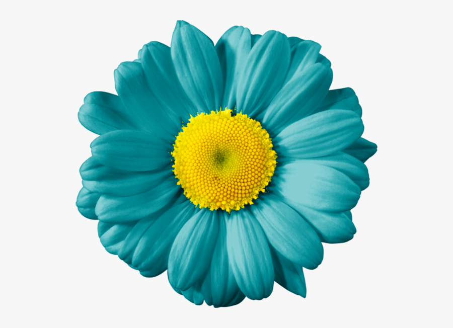 Yellow Blue Flower Png, Transparent Clipart