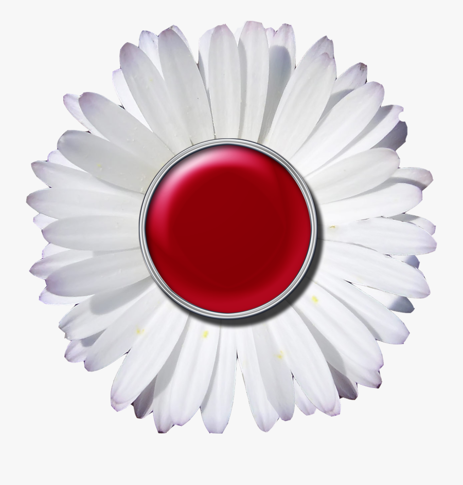 Download A Zipped File Of These Elements Here - Digital Scrapbooking Flower Embellishments For Scrapbooking, Transparent Clipart