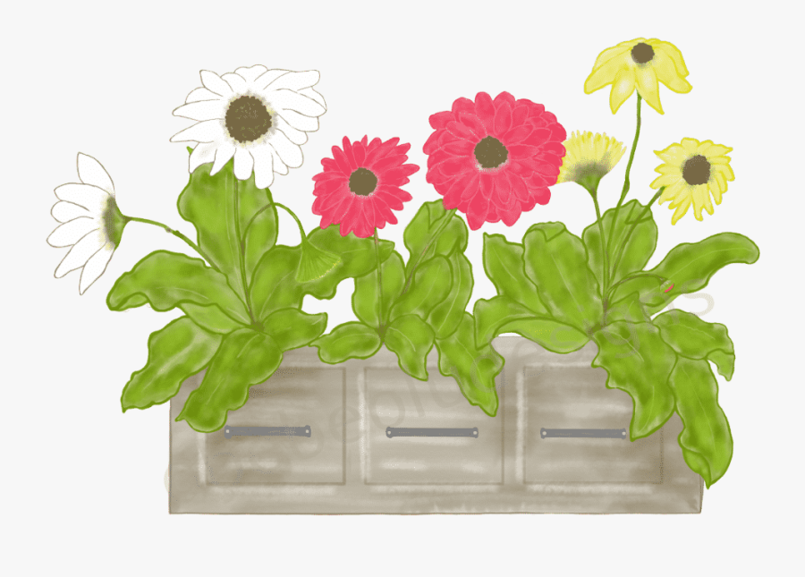 Gerbera In Box Extra Flour & Leaf - Barberton Daisy, Transparent Clipart
