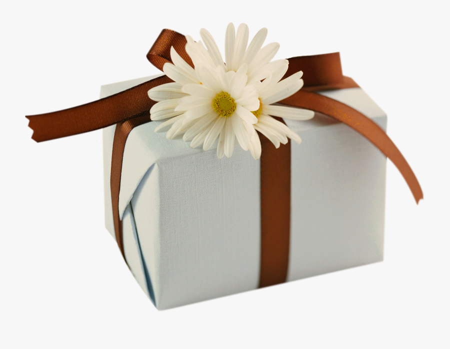Daisies Clipart Bow - Birthday Gift Box, Transparent Clipart