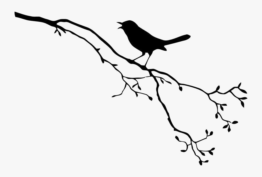 Bird Royalty-free Drawing - Bird Branch Silhouette Png, Transparent Clipart
