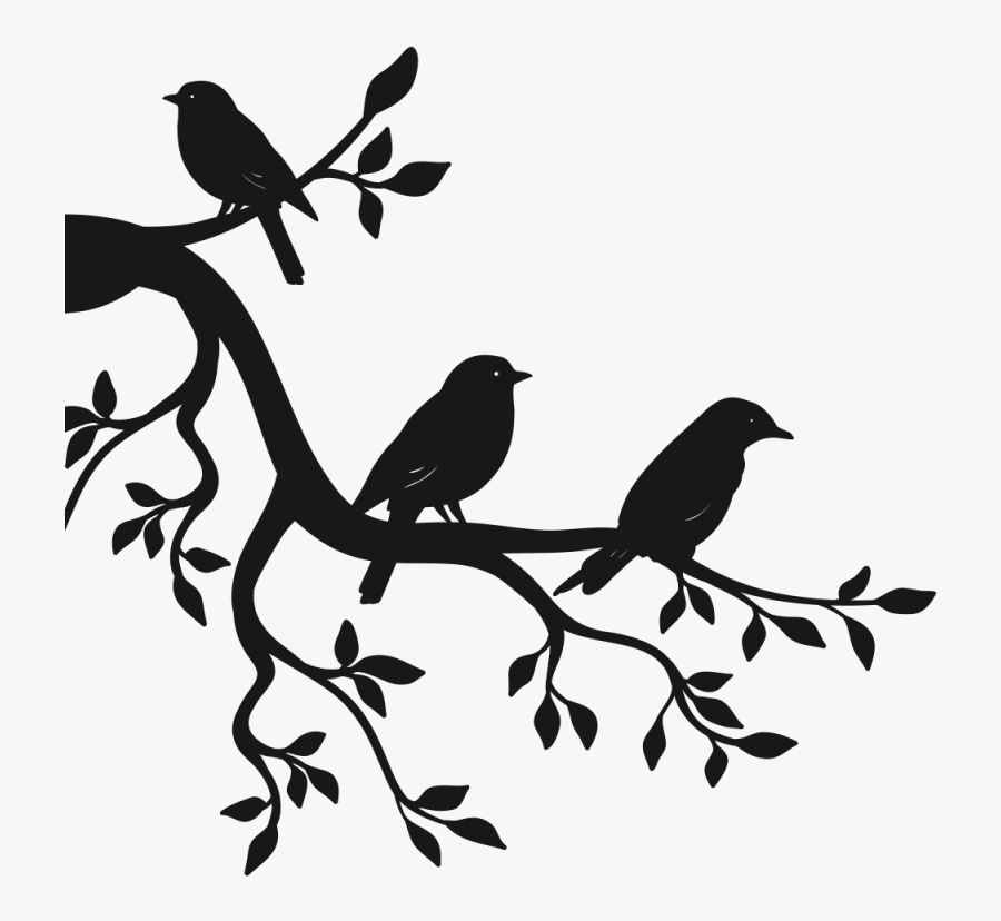 Paper Sticker Branch Bird Wall Decal - Birds On Branch Drawing, Transparent Clipart