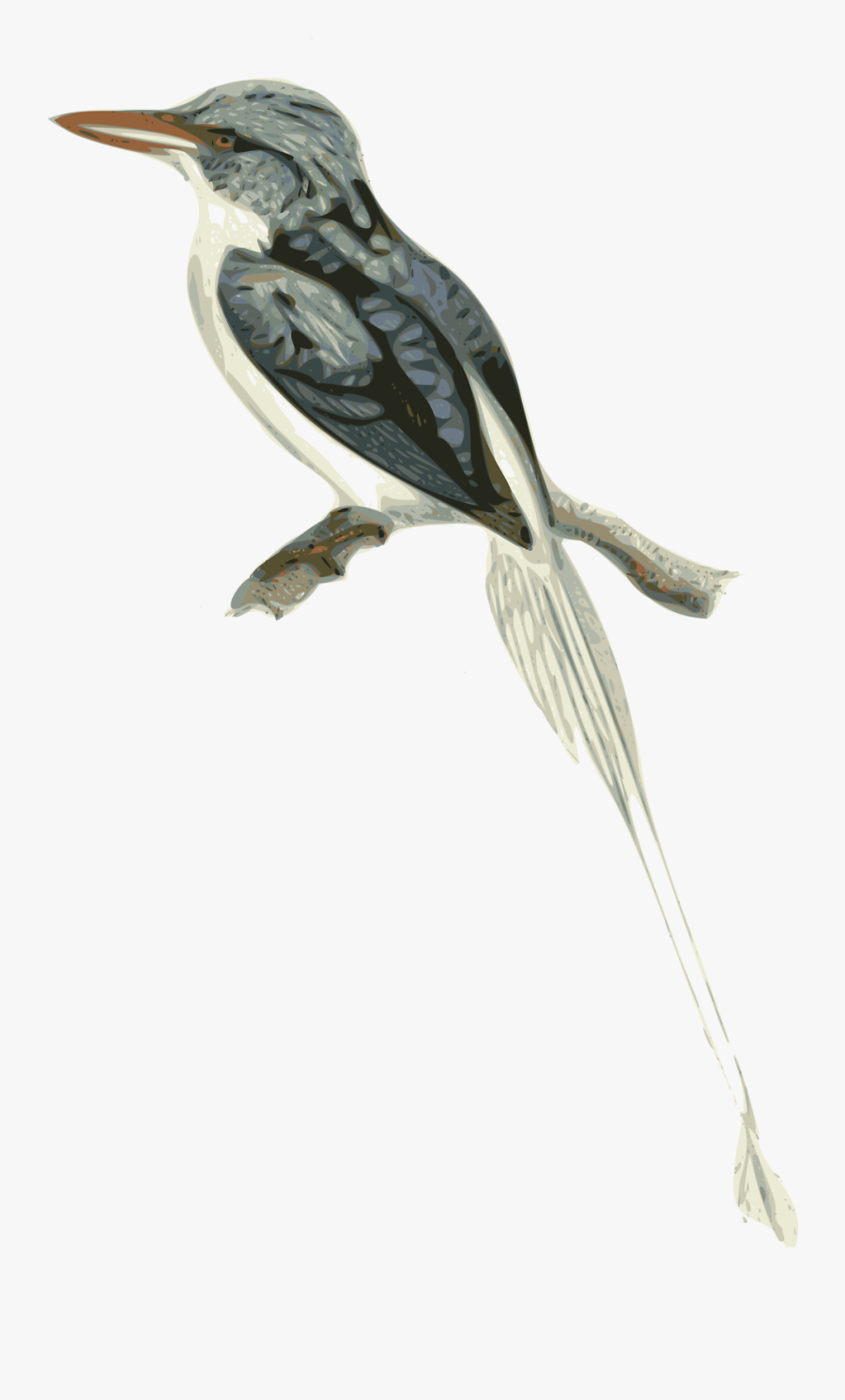 Bird Free Stock Photo - Illustration Of A Bird On Branch, Transparent Clipart