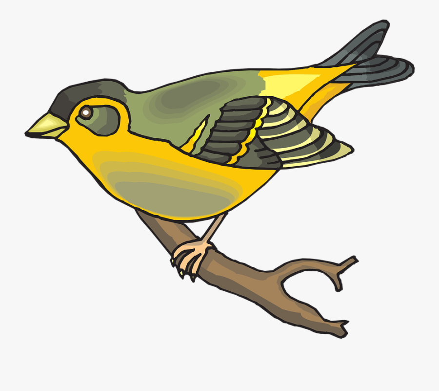 Bird, Branch, Wings, Beak, Goldfinch, Feathers - Finch Clipart, Transparent Clipart