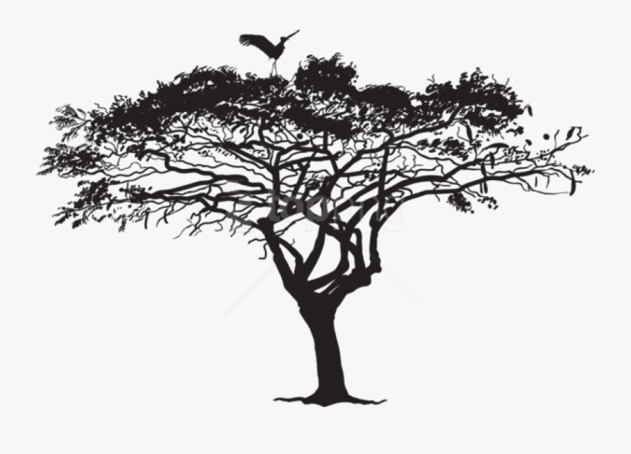 Tree Png Silhouette -free Png Exotic Tree And Bird - Wilkswood Reggae Festival 2019 Lineup, Transparent Clipart