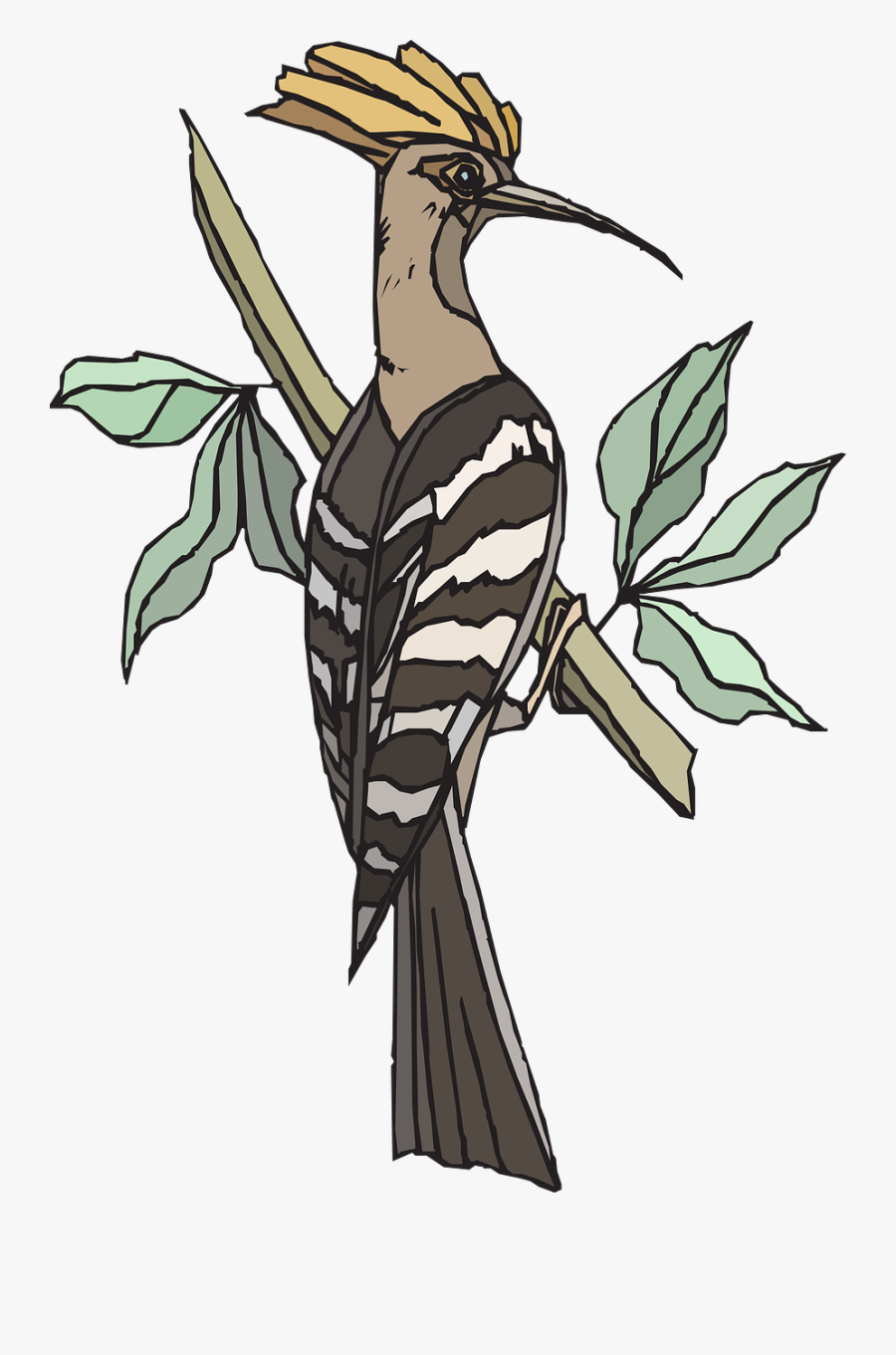 Animasi Burung Hud Hud, Transparent Clipart