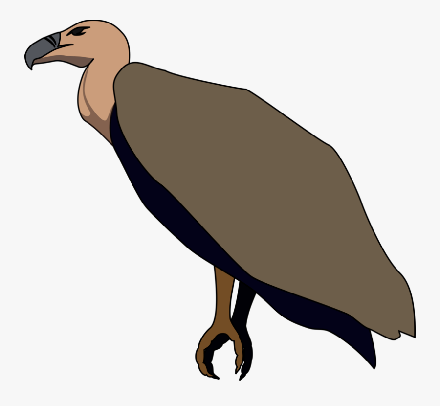 Thumb Image - Vulture Clip Art, Transparent Clipart