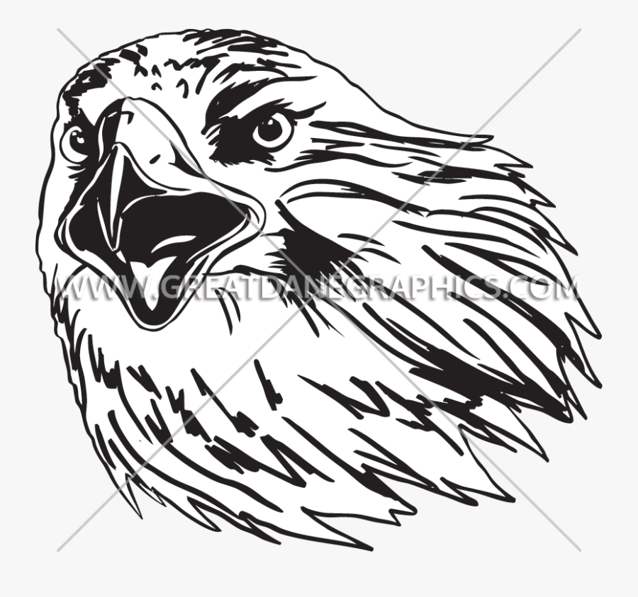 Buzzard Clipart , Png Download - Buzzard, Transparent Clipart