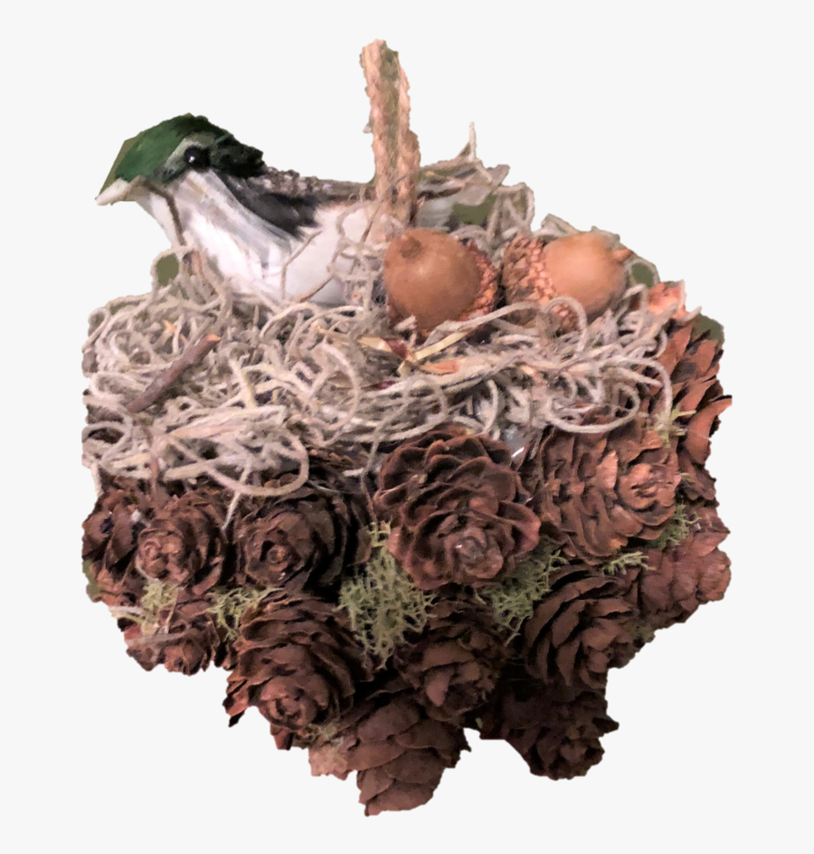 Nest , Transparent Cartoons - Nest, Transparent Clipart